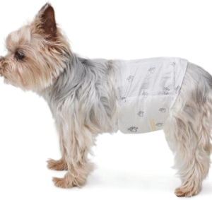 Amazon Basics Male Dog Diapers Review