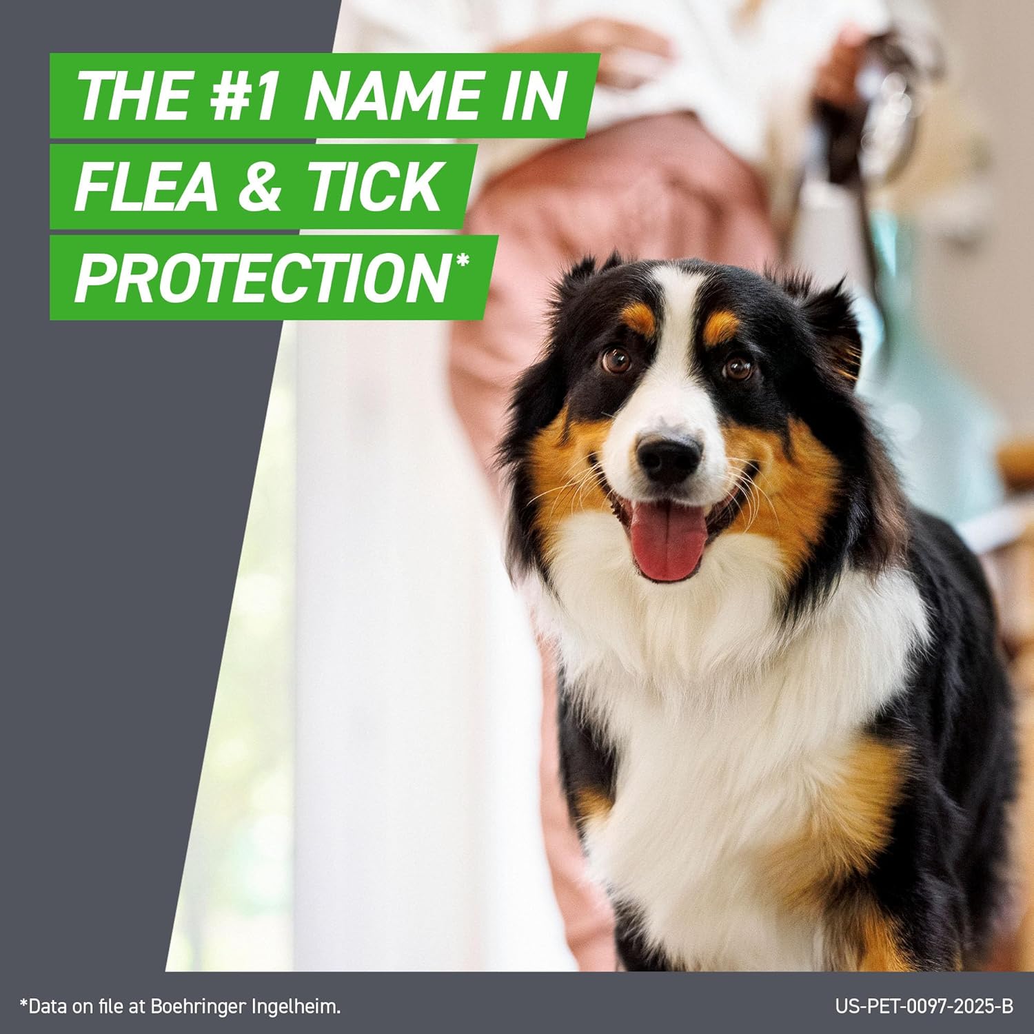 Frontline Spot‑On Large Dog Flea & Tick Treatment