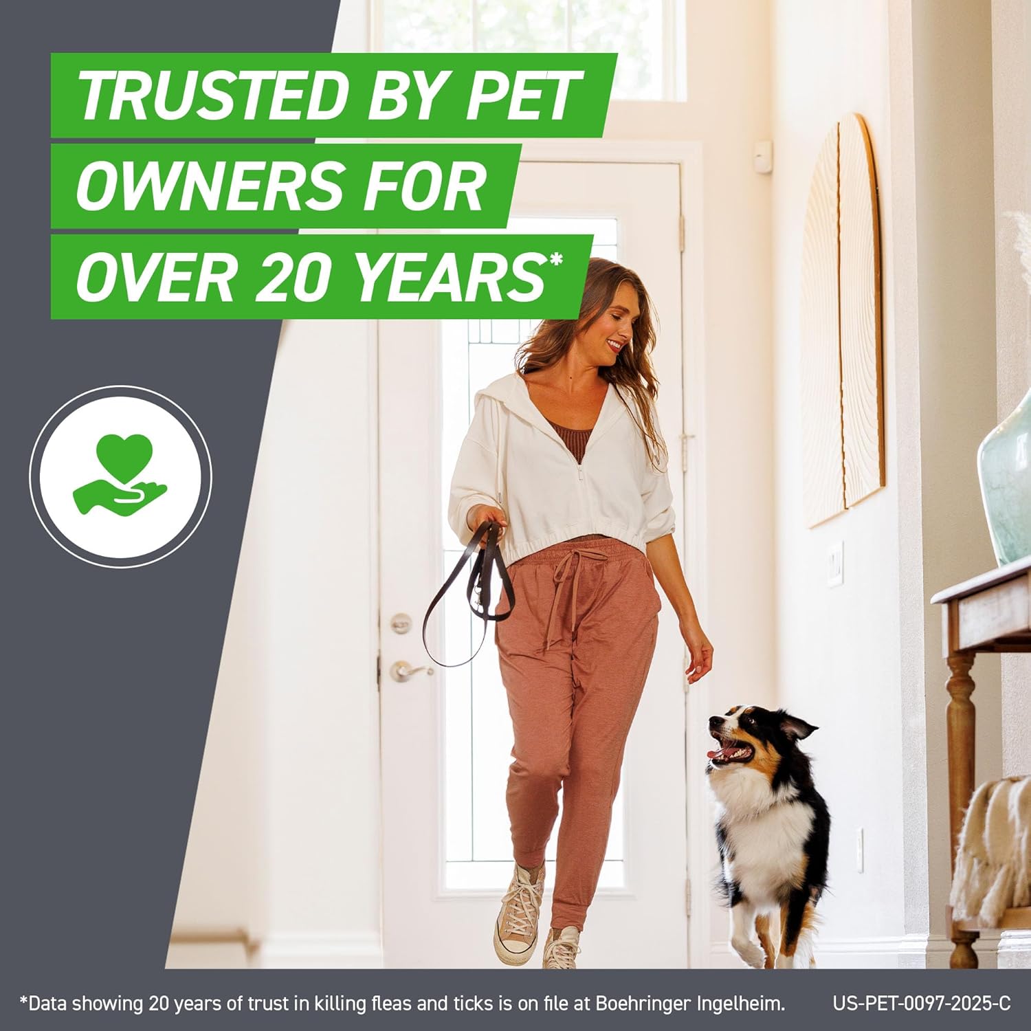 Frontline Spot‑On Large Dog Flea & Tick Treatment