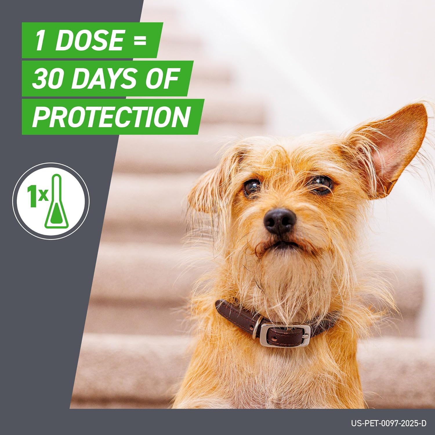 Frontline Spot‑On Large Dog Flea & Tick Treatment