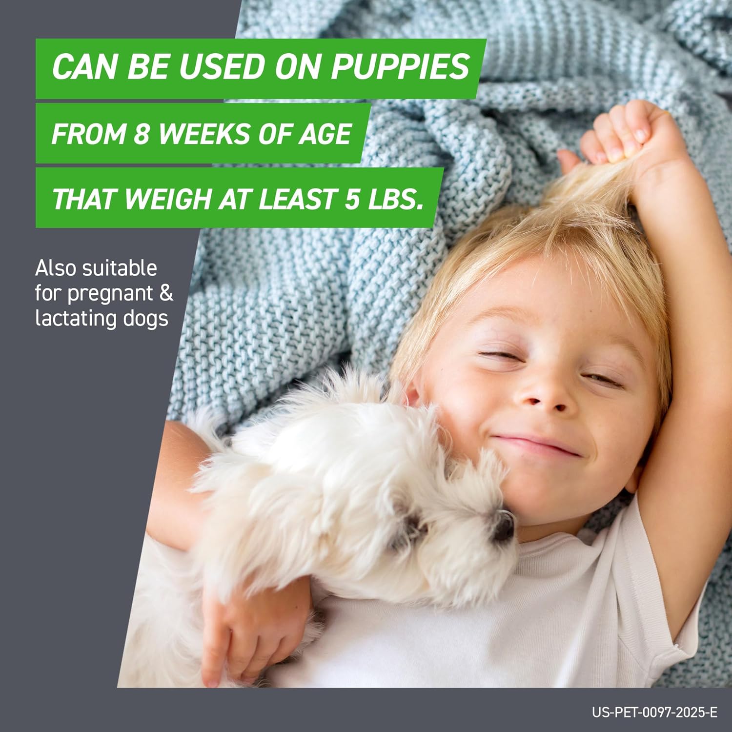 Frontline Spot‑On Large Dog Flea & Tick Treatment