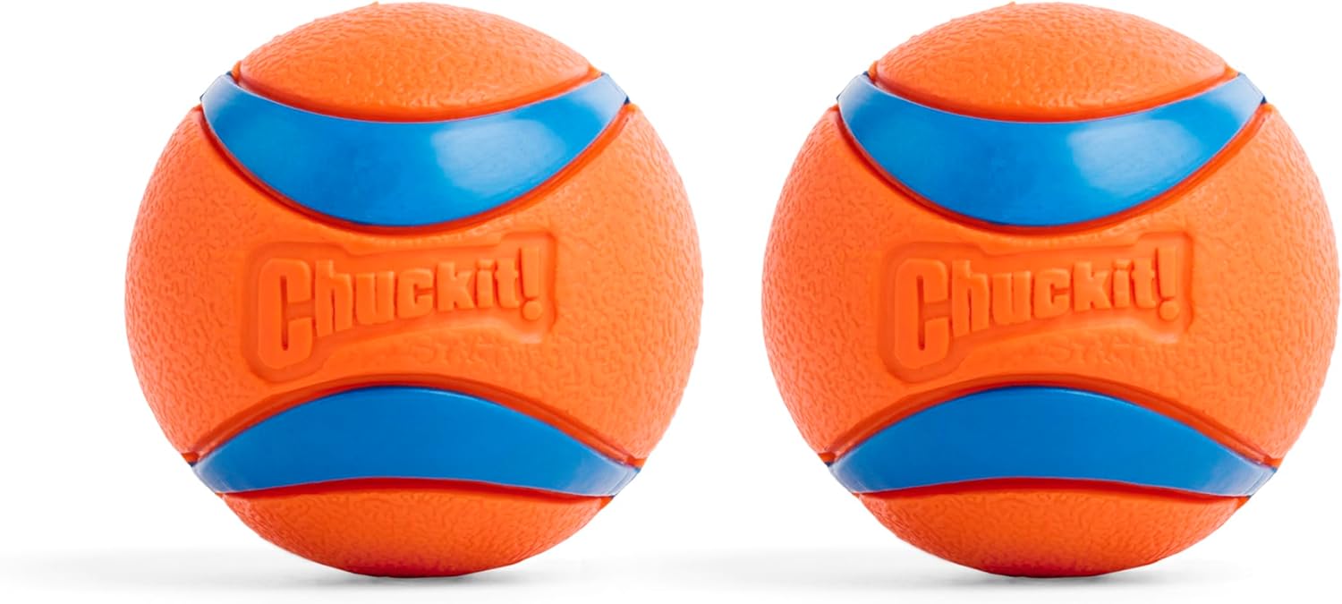 The Chuckit! Bouncy Interactive Dog Toy
