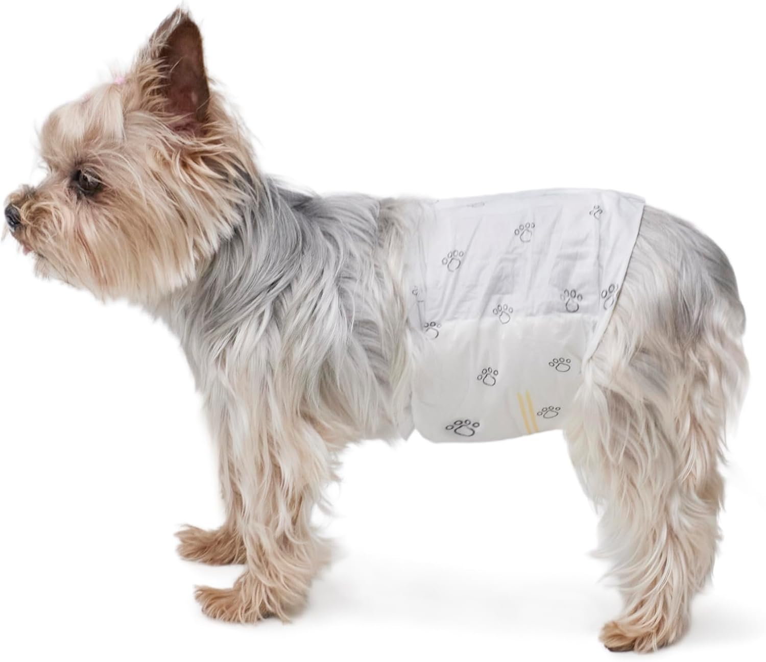 Amazon Basics Male Disposable Dog Diapers
