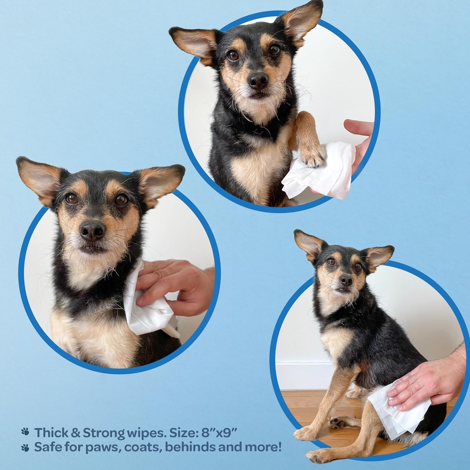 Best Pet Supplies Pet Wipes for Dogs