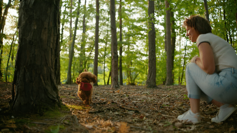 Dog Toys for Toy Dogs