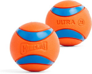 best fetch ball for dogs