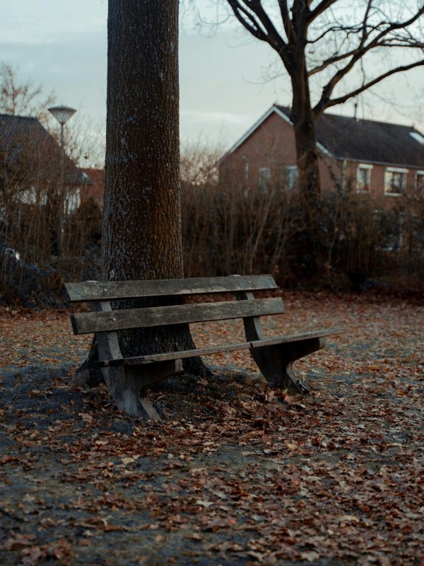 pexels-radwanmenzer-14911915